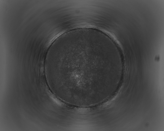 X0000091450889200708301807