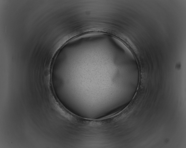 X0000091450890200708301807