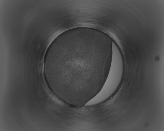 X0000091450891200708301807