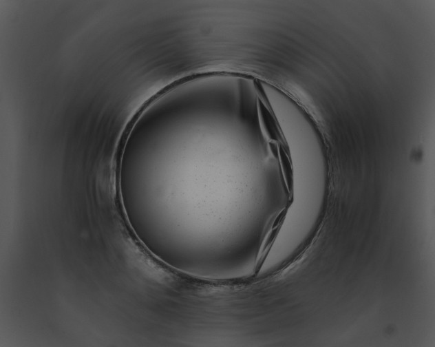 X0000091450892200708301807