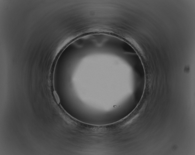 X0000091450893200708301807