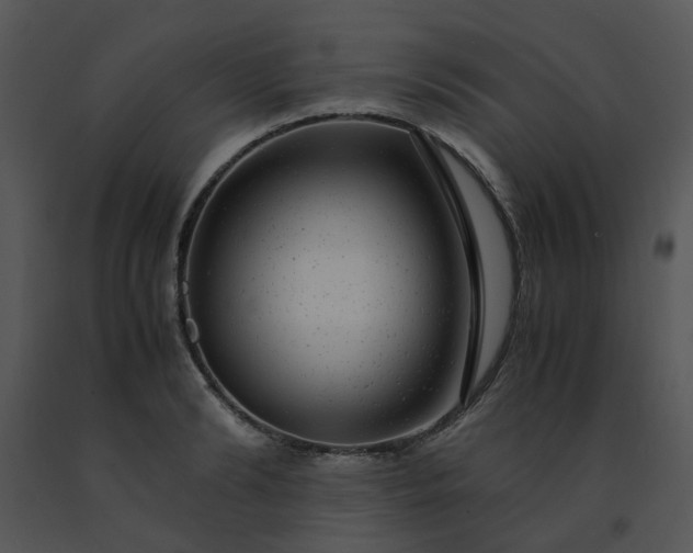 X0000091450894200708301807