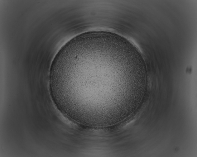 X0000091450895200708301807