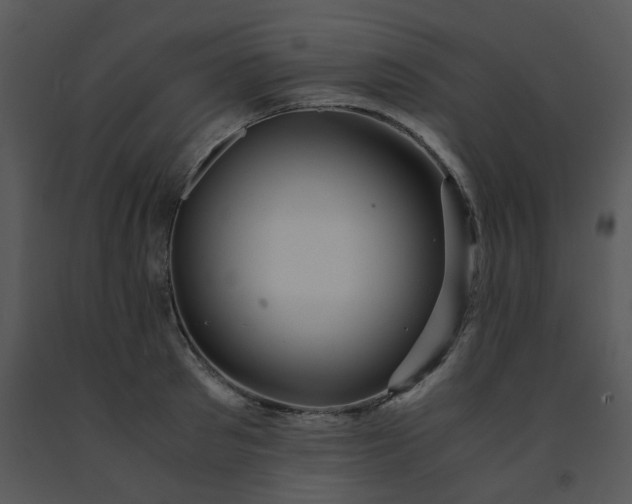 X0000091450897200708301807