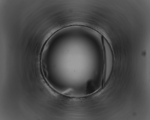 X0000091450898200708301807