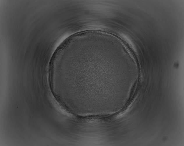 X0000091450899200708301807
