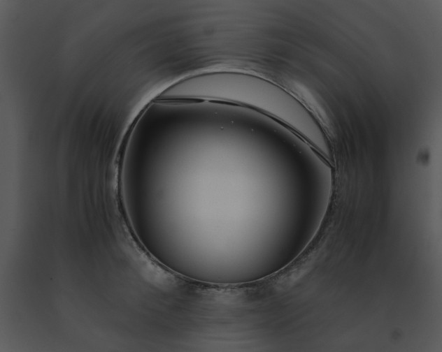 X0000091450900200708301807