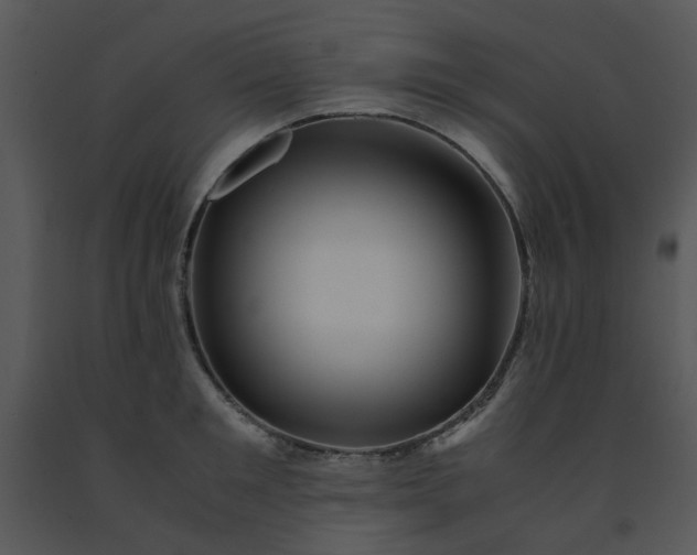 X0000091450901200708301807