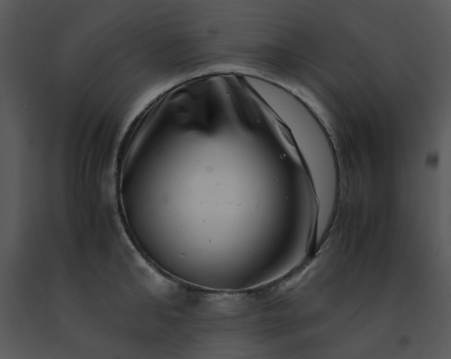 X0000091450902200708301807
