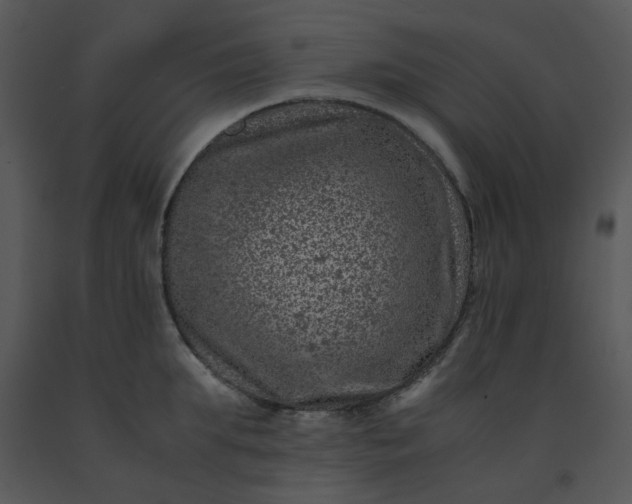 X0000091450903200708301807