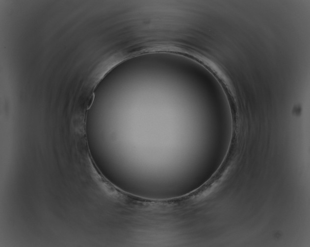 X0000091450905200708301807