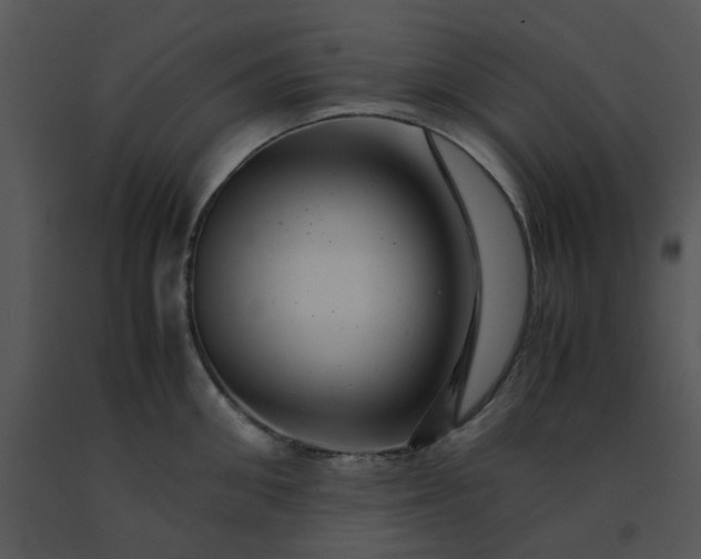 X0000091450906200708301807