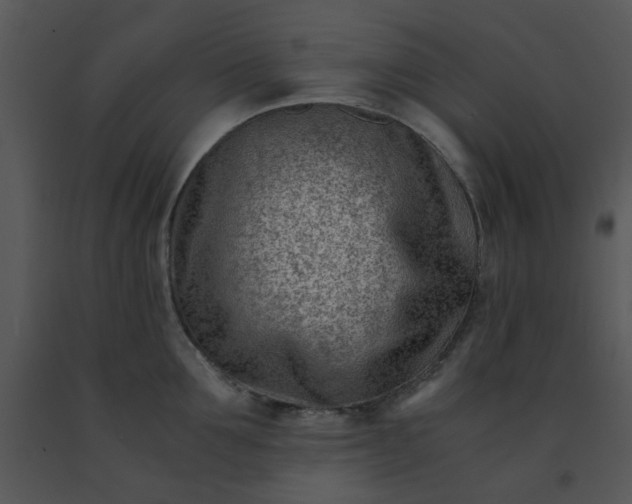 X0000091450907200708301807