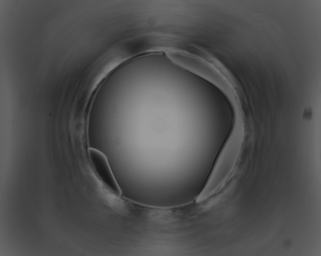 X0000091450909200708301807