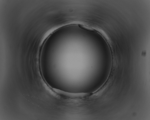 X0000091450910200708301807
