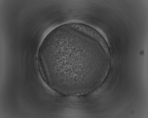 X0000091450911200708301807