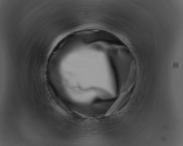 X0000091450912200708301807
