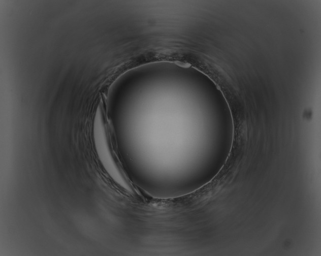 X0000091450914200708301807