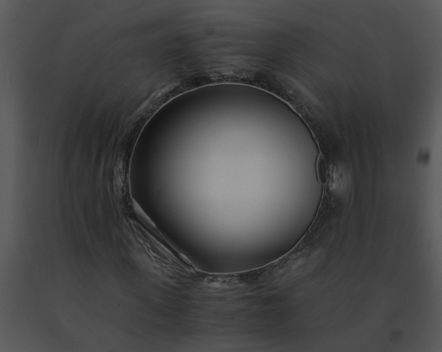 X0000091450915200708301807