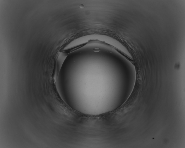 X0000091450916200708301807