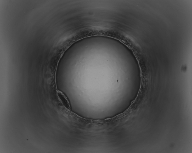 X0000091450917200708301807