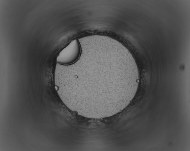 X0000091450918200708301807