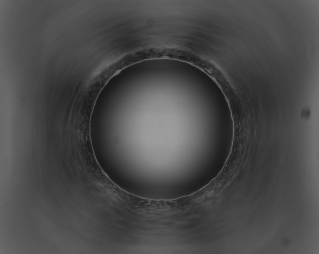 X0000091450919200708301807