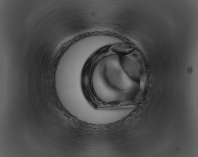 X0000091450920200708301807