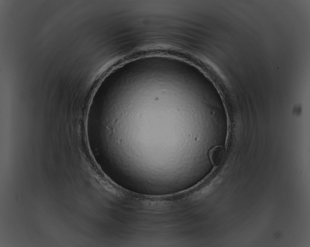 X0000091450921200708301807