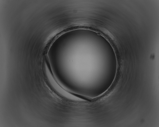 X0000091450922200708301807