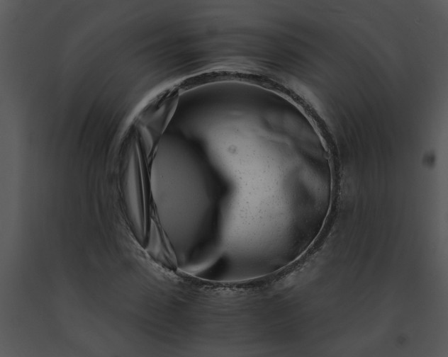 X0000091450923200708301807