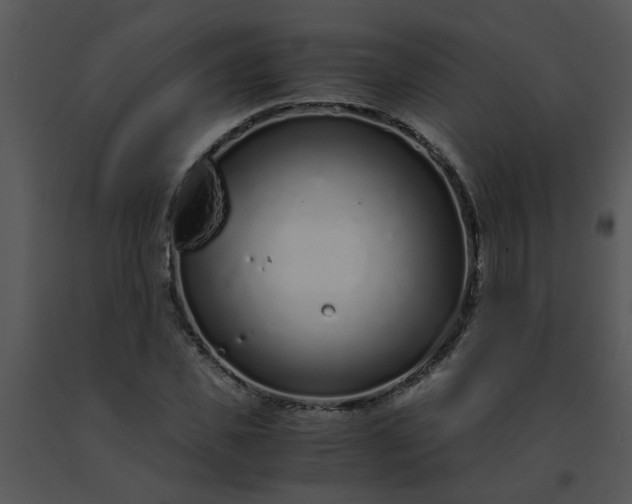X0000091450925200708301807