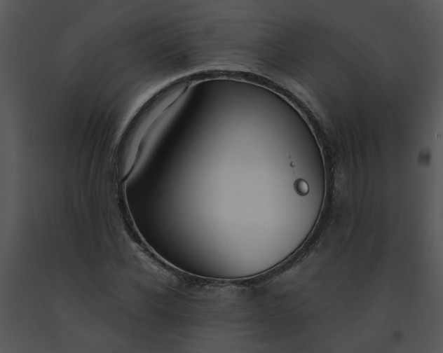 X0000091450926200708301807