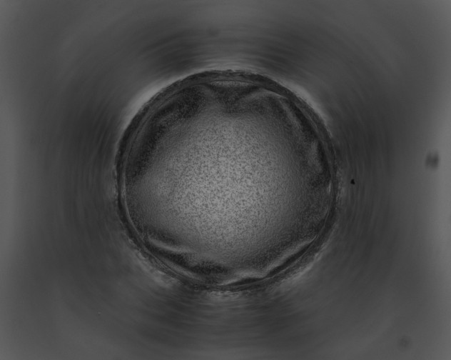 X0000091450927200708301807