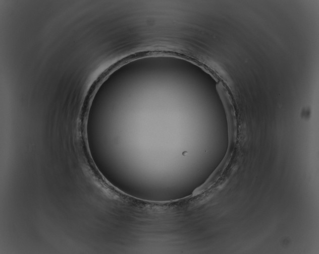 X0000091450928200708301807