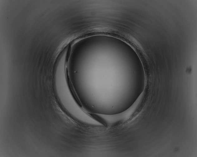 X0000091450930200708301807