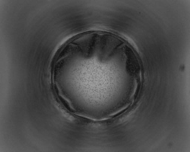 X0000091450931200708301807