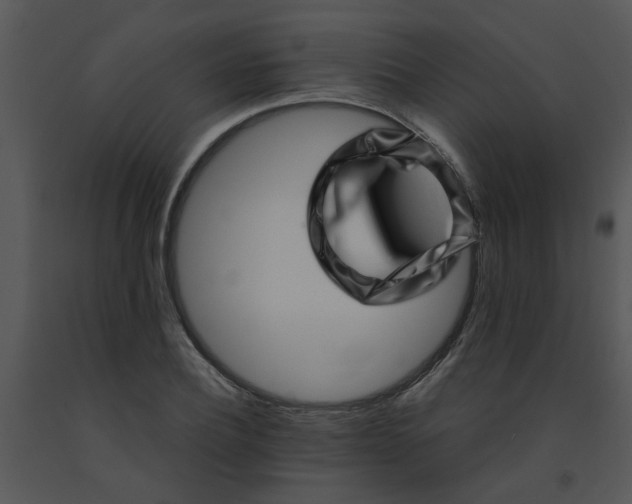 X0000091450932200708301807