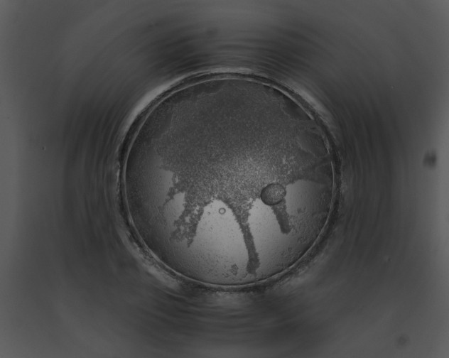 X0000091450933200708301807