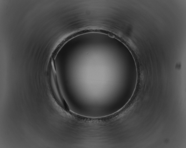 X0000091450934200708301807