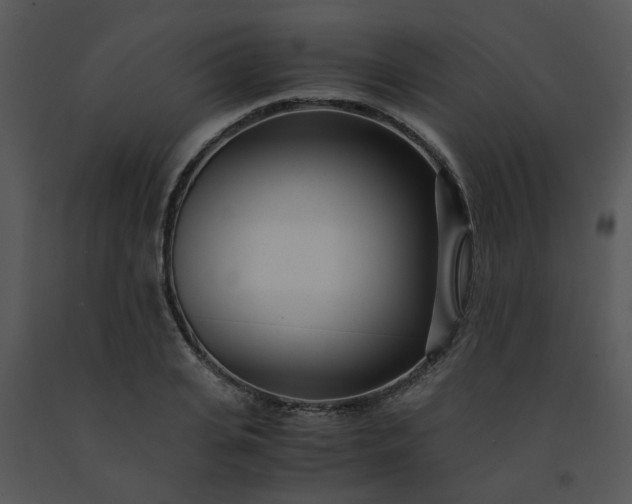X0000091450935200708301807
