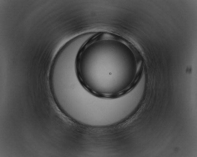 X0000091450936200708301807