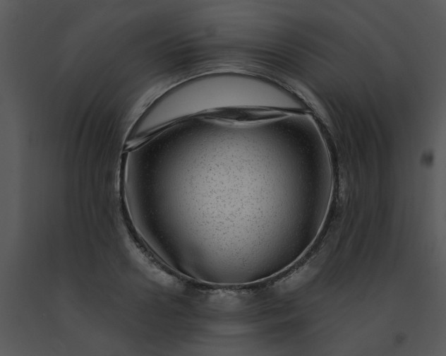 X0000091450938200708301807