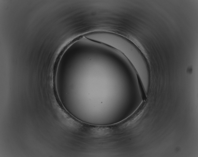 X0000091450939200708301807
