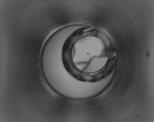 X0000091450940200708301807