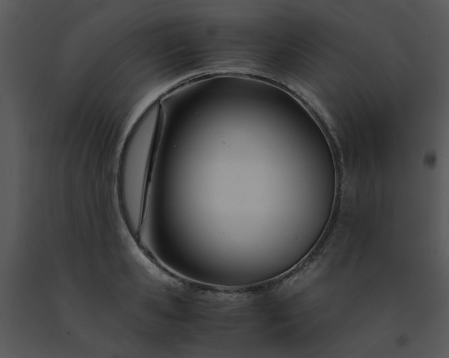 X0000091450941200708301807