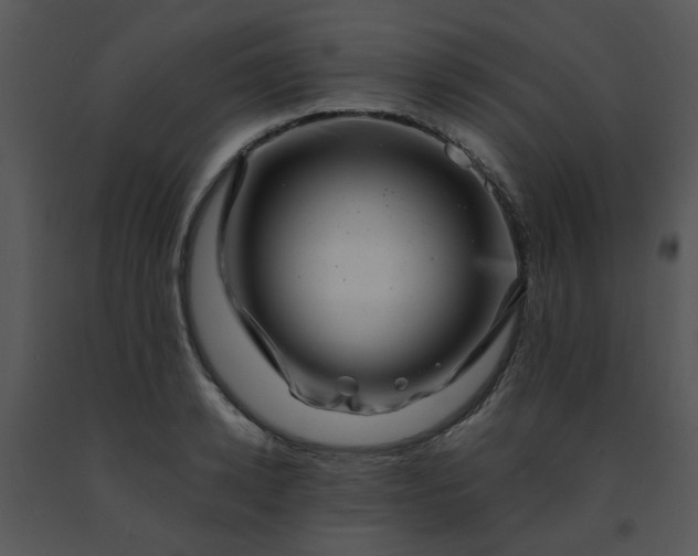 X0000091450942200708301807