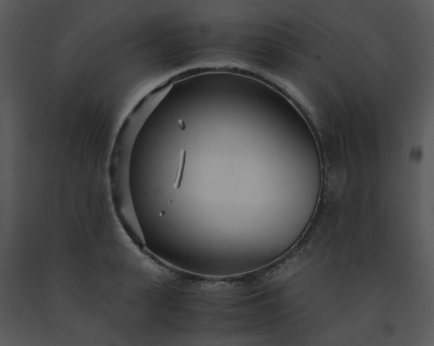 X0000091450943200708301807