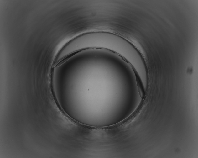 X0000091450944200708301807