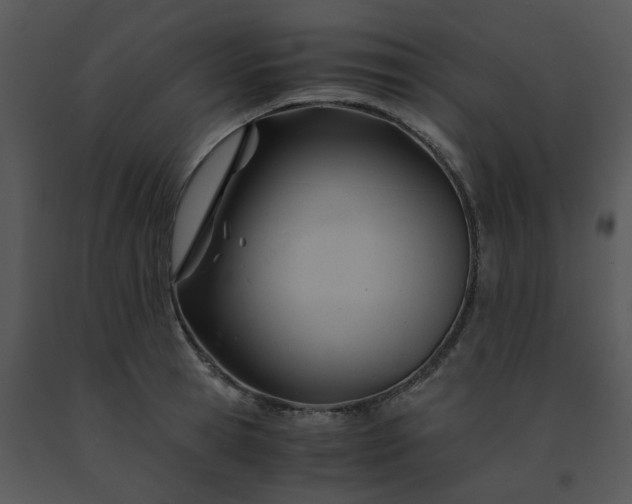 X0000091450945200708301807